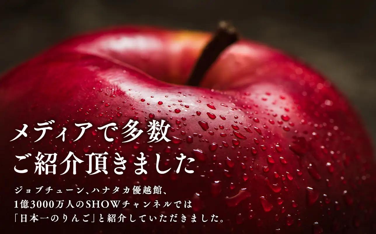 【レビューキャンペーン】1月発送 サンふじ 約5kg 青森県平川市産[hi-0003-016]