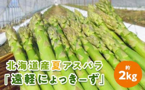 《先行予約》2026年夏アスパラ(約2kg)「遠軽にょっきーず」