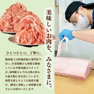 豚肉 4種 切り落とし 約 1.9kg 小分け 国産 金時豚 ブランド豚 冷凍 とんかつ 焼肉 ロース バラ セット 徳島県 阿波市 