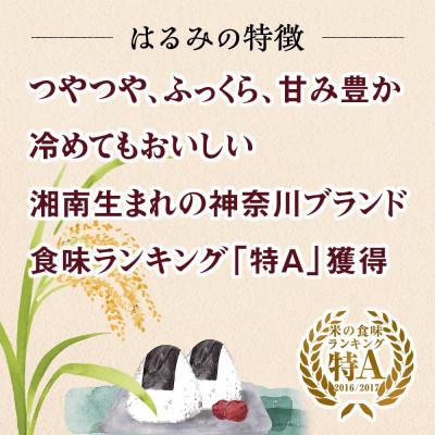 ふるさと納税 伊勢原市 新米 [令和7年産] 伊勢原産 精米 5kg はるみ 農家直送!亀井さんちのうんめぇ米 |  | 03