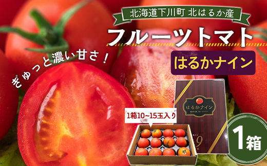 【先行予約】令和8年産 10～15玉前後 糖度9.0度以上 北はるか産フルーツトマト はるかナイン 1箱 フルーツトマト グルメ ギフト 贈答用 ブランド野菜 糖度9度 糖度9以上 故郷 ふるさと 納