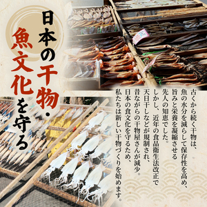 【干物】 未来干物 おまかせ3種セット 合計6パック ひもの ひもの