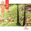 【ふるさと納税】【2025年お届け】大名筍 3kg ( 約11本 ) ( 竹島産 ) | 2025年5月中旬以降発送 先行受付 タケノコの王様 希少性 たけのこ タケノコ 筍 竹の子 野菜 やさい 山菜 人気 送料無料