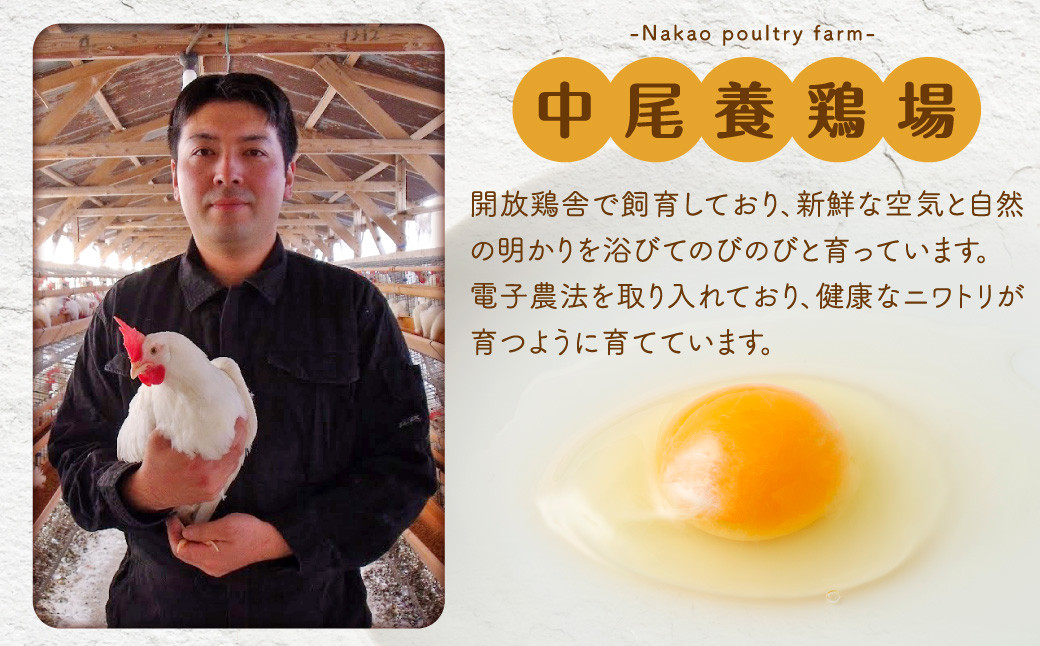 【3ヶ月定期便】電子たまご(白玉) 合計180個(60個×3回)