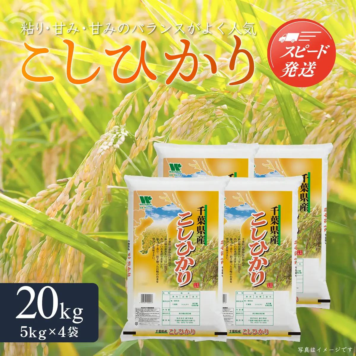 【最短2～7営業日出荷】令和7年産 千葉県産「コシヒカリ」20kg（5kg×4袋） A024