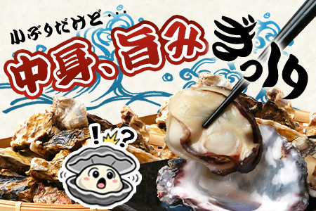 有明海産 養殖牡蠣1kg 冬季限定｜殻付き生牡蠣｜加熱調理用｜新鮮 佐賀県産 カキ【レンジで簡単調理】お正月 夕食 おつまみ おかず 佐賀県 鹿島市 人気 AA-12