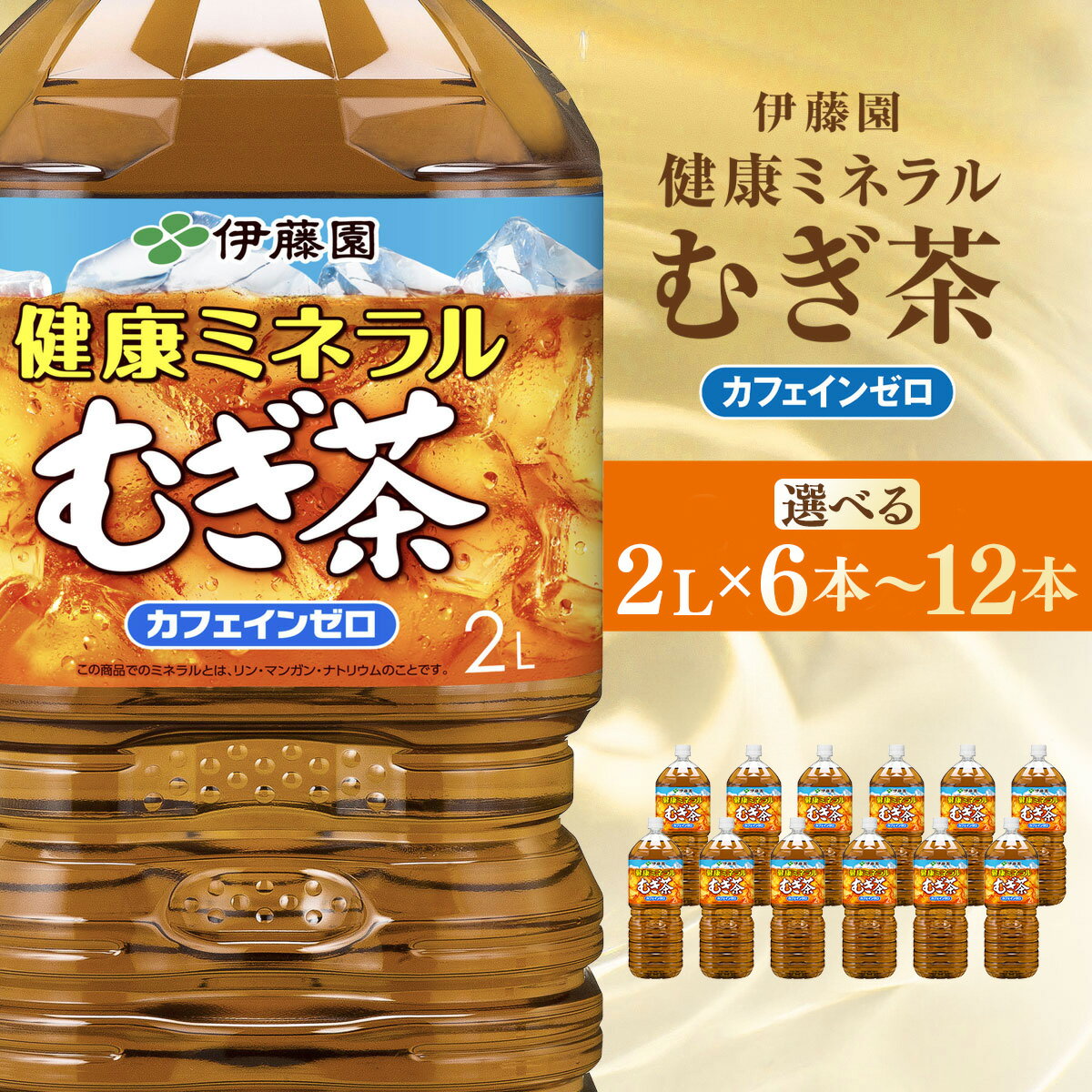 【ふるさと納税】伊藤園　健康ミネラルむぎ茶　【 12本(2ケース) / 6本(1ケース) 】 【 ふるさと納税 人気 おすすめ ランキング 麦茶 健康ミネラル麦茶 むぎ茶 カフェインゼロ 健康 箱買い ケース 大容量 国産 千葉県 香取市 送料無料 】 KTRAS004-v