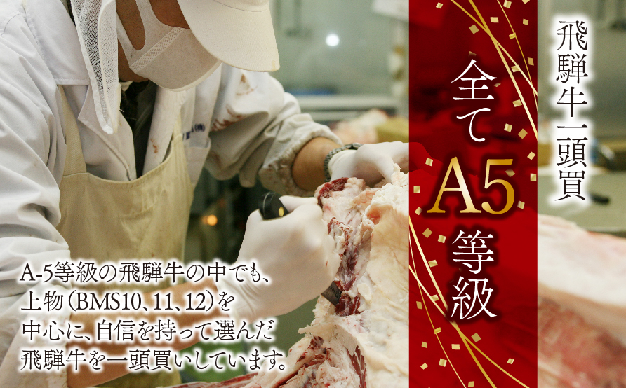 A5 飛騨牛 赤身 バラ 焼肉セット 計600g｜岐阜県産 国産 黒毛和牛 ブランド牛 モモ肉 カタ肉 霜降り 冷凍 贅沢 高級肉 バーベキュー お歳暮 お中元 ギフト プレゼント おすすめ トキノ屋
