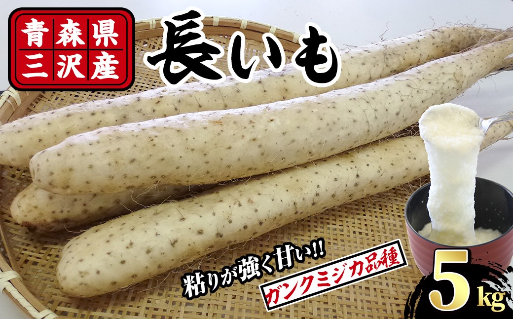 
                  ＜先行予約受付中！R8年8月下旬以降順次発送予定＞青森県三沢市産 長いも (5kg) 野菜 やさい 根菜 とろろ 長芋 芋 いも 【おいらせ農業協同組合】【ms25-02】
                