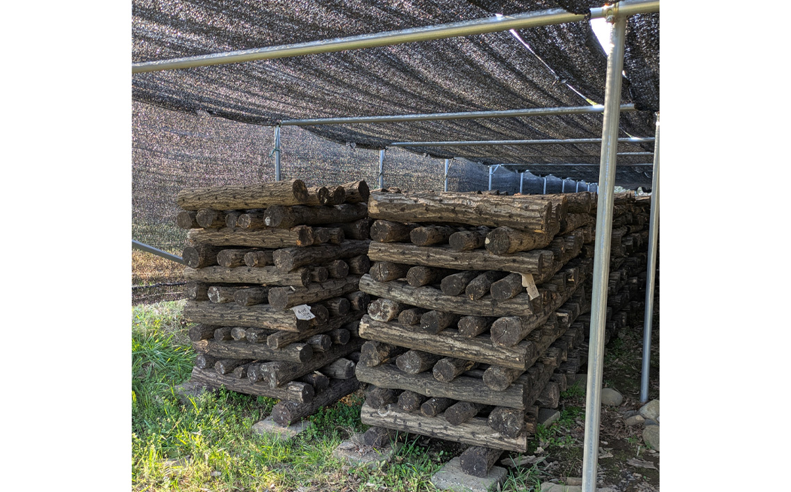 No.081 原木生しいたけ