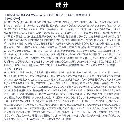 ふるさと納税 滑川町 ダイアン エクストラスカルプ&ボリューム シャンプー&トリートメント本体|19_ntl-220201 |  | 01