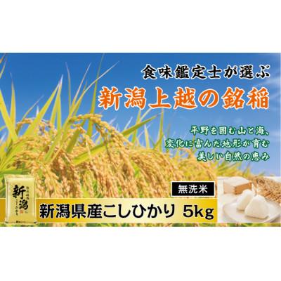 ふるさと納税 上越市 【令和7年産新米先行予約】　「無洗米」　食味鑑定士厳選　新潟県上越市産こしひかり　5kg
