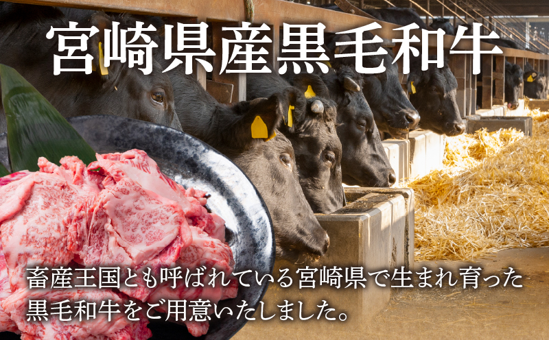 【2週間以内発送】宮崎県産黒毛和牛切り落とし(焼肉用)計500g 肉 牛 牛肉 国産_T023-016