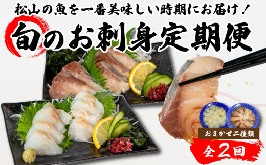 <春からお届け> 【全2回】 旬のお刺身定期便 (2~3人前×2種類) 魚 切身 鮮魚 刺身セット 刺身2種盛り 刺身 お刺身 お刺し身 魚介 海の幸 小分け 個包装 冷凍 鯛 カワハギ スズキ イカ サワラ タコ ハマチ ヒラメ 愛媛県 松山市