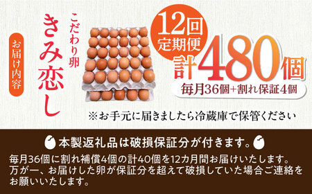 【12回定期便】きみ恋し 箱入り 40個（36個+割れ保証4個）×12ヶ月　総計480個  [AFAJ009]