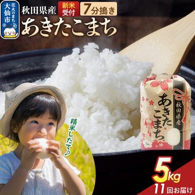 ふるさと納税 大仙市 定期便11ヶ月 7分搗き あきたこまち 5kg 秋田県産 令和8年産|22_kml-030511s