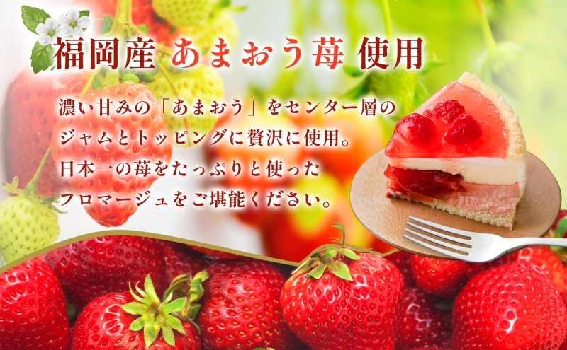 ドゥーブルフロマージュ あまおう苺 1台 あまおう 苺 いち
