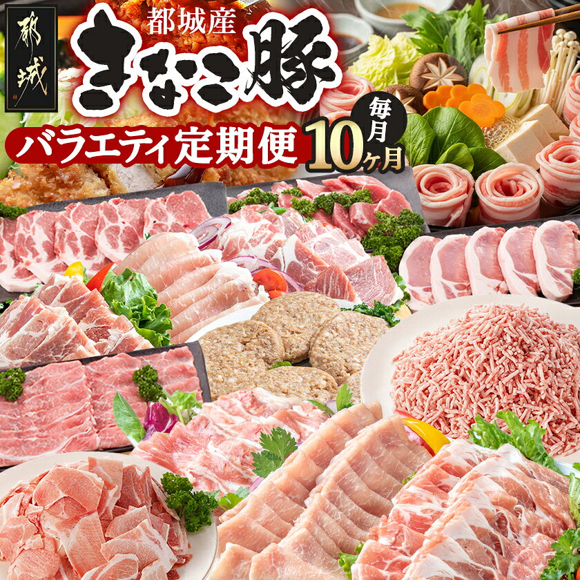 【ふるさと納税】「きなこ豚」バラエティ定期便（10ヶ月） - 宮崎県産豚肉(都城産) 豚バラ/ロース/肩ロース/ウデ・モモ/ミンチ/ハンバーグ/小間切れ/しゃぶしゃぶ/とんかつ/焼き肉/生姜焼き 送料無料 T120-1202【宮崎県都城市】