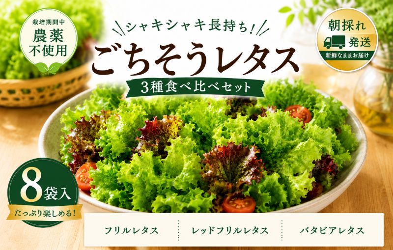 【朝採れ発送】ごちそうレタス 3種食べ比べセット（8袋・栽培期間中農薬不使用）【大阪 泉佐野 大阪府 泉佐野市】