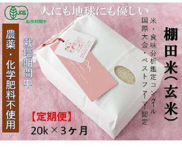 【2025年産新米】【定期便】魚沼コシヒカリ 苗場プリンセス・プレミアム 有機jaS認証米 玄米（20kg）×3回 合計60kg