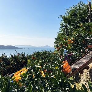 日の丸みかん「千兩」3kg　約25～35個/L・Mサイズ/2箱セット/光センサー使用【E79-7】【1452030】