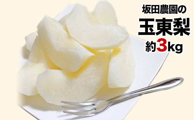 『坂田農園』の玉東梨 約3kg《8月中旬-9月末頃出荷》 熊本県玉名郡玉東町産『坂田農園』なし 果物 スイーツ フルーツ デザート 旬 豊水 あきづき 新高