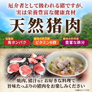 天然猪肉切り落とし 約1.5kg(500g×3) 広島県 猪 しし肉 天然 ジビエ イノシシ しし汁 猪汁 ぼたん鍋 焼き肉 焼肉 冷凍 BBQ 送料無料 世羅 A034-01