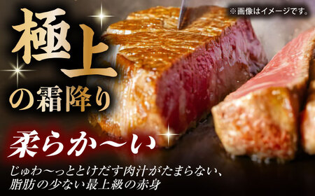 くまもと黒毛和牛 ヒレステーキ 計750g（5枚）【馬刺しの郷 民守】 熊本県産 九州産 和牛ヒレステーキ  [ZBL024]