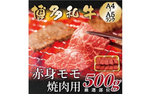 ＜A4～A5＞博多和牛赤身モモ焼肉用　500g(大牟田市)【1560694】