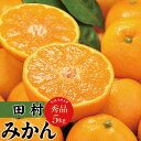 【ふるさと納税】田村みかん　秀品5キロ　サイズおまかせ/紀伊国屋文左衛門本舗　◆2024年11月下旬〜2025年1月中旬頃に発送予定（お届け日指定不可）【予約受付】