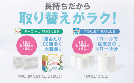 【スコッティ】ティシュー フラワーボックス 250組（5箱パック×2セット）＋フラワーパック 3倍長持ち（4ロール(シングル)パック×6セット）ティッシュ トイレットペーパー 日用品