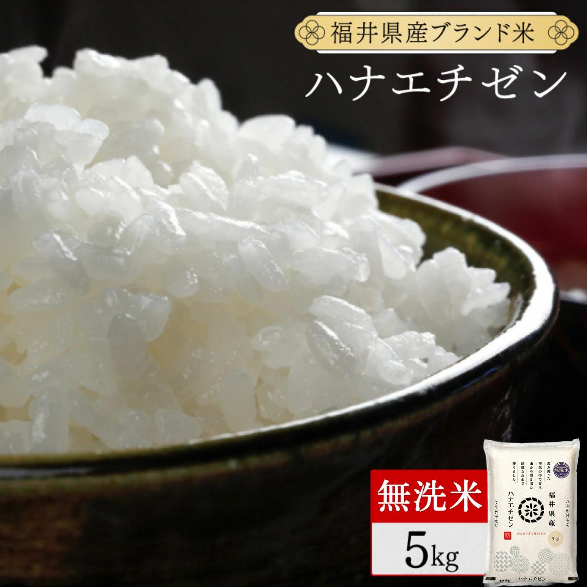 福井県産 ハナエチゼン 無洗米 5kg（5kg×1）＜令和7年産 数量限定 ＞【米 コメ お米 精米 白米 無洗米 玄米 ご飯 飯 華越前 ブランド米 国産】[095-a017]【敦賀市ふるさと納税】