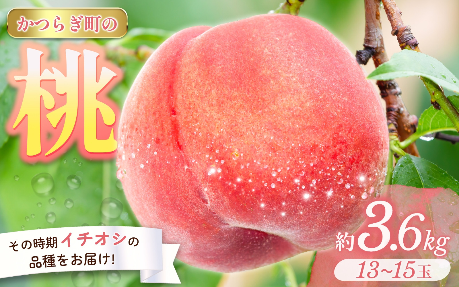 
            ＜甘い香りと果汁が自慢＞桃 13～15玉 (約3.6kg)【2025年7月上旬～8月上旬頃順次発送】　/ 品種おまかせ もも モモ 桃 デザート フルーツ 果物 くだもの 果実 和歌山県 かつらぎ町 旬 
          