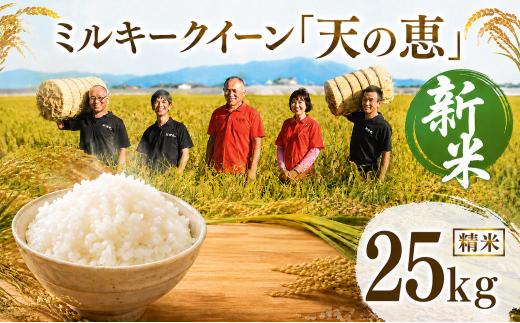 精米 有機栽培 ミルキークイーン 天の恵 25kg R8年産 米 コメ 茨城県 新米 玄米 精米 25kg 先行予約 令和8年産 米 お米 数量限定 ご飯 ごはん コメ 白米 ライス 米25kg 25キロ 銘柄米 茨城県 新生活 応援 kome okome 茨城県産 国産 産地直送 ※ 新米予約 関東 茨城 筑西