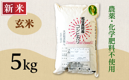 E1-G051A新潟県長岡産コシヒカリ玄米5kg