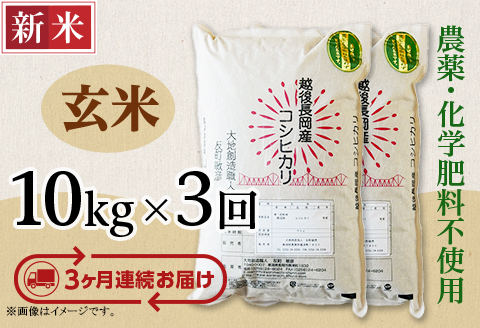 E1-G103【3ヶ月連続お届け】新潟県長岡産コシヒカリ玄米10kg