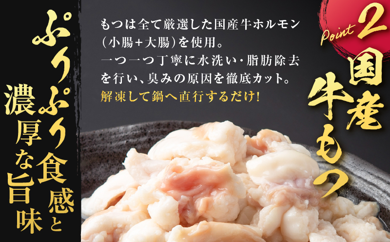 寺師の国産牛もつ鍋セット 4～5人前　K005-001