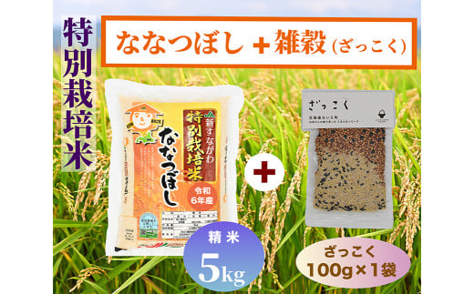 北海道奈井江町　特別栽培米　ななつぼし5kgと雑穀セット