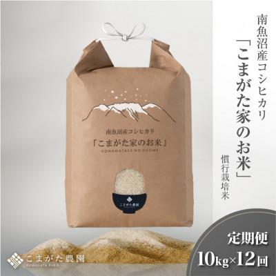 ふるさと納税 南魚沼市 【毎月定期便】厳選こだわり南魚沼産コシヒカリ「こまがた農園のお米」精米10kg全12回
