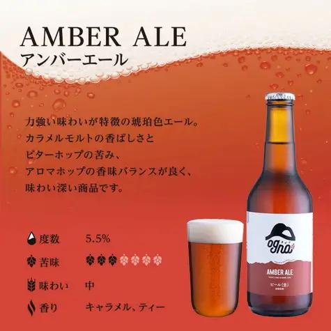 南信州ビール Ogna 3種×2本 飲み比べ お酒 ビール