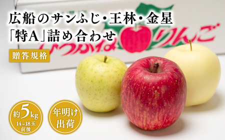 【レビューキャンペーン】年明け 贈答規格 広船のサンふじ・王林・金星約5kg詰合せ「特A」【広船アップルクラブ・平川市広船産・青森りんご・1月・2月】[hi-0004-003]