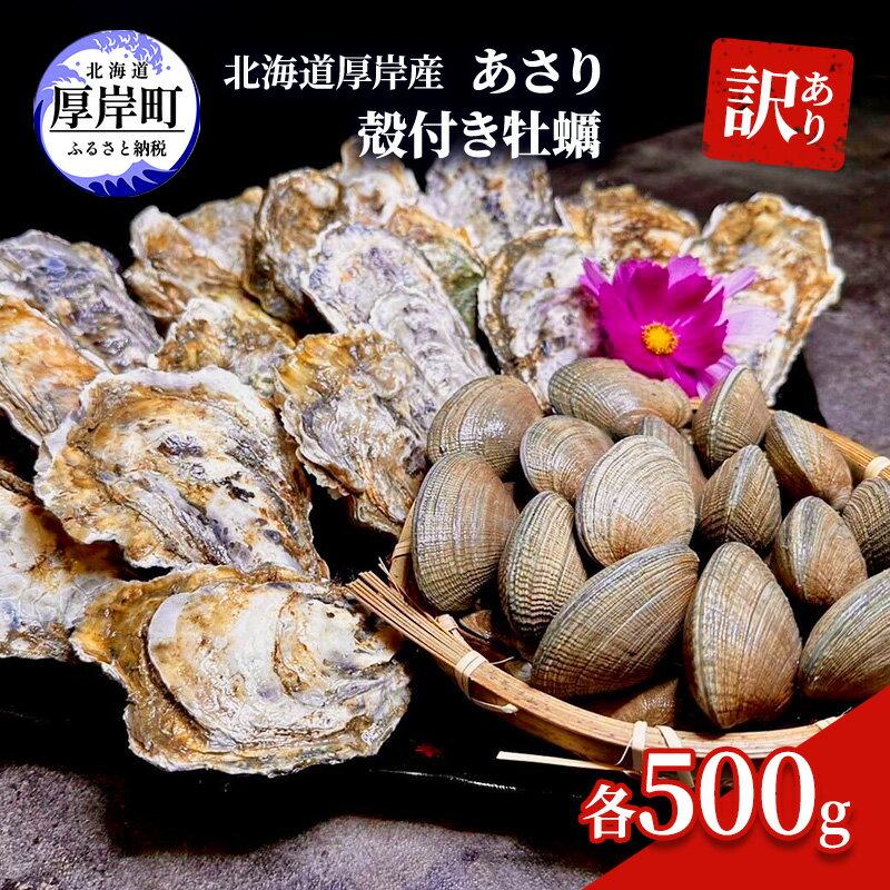 【ふるさと納税】訳あり 北海道 厚岸産 あさり 殻付き牡蠣 各500g 魚貝類 海の幸 グルメ 大粒 肉厚 海鮮 オイスター 濃厚な甘み 　お届け：2025年10月～11月末まで、2026年3月～6月末
