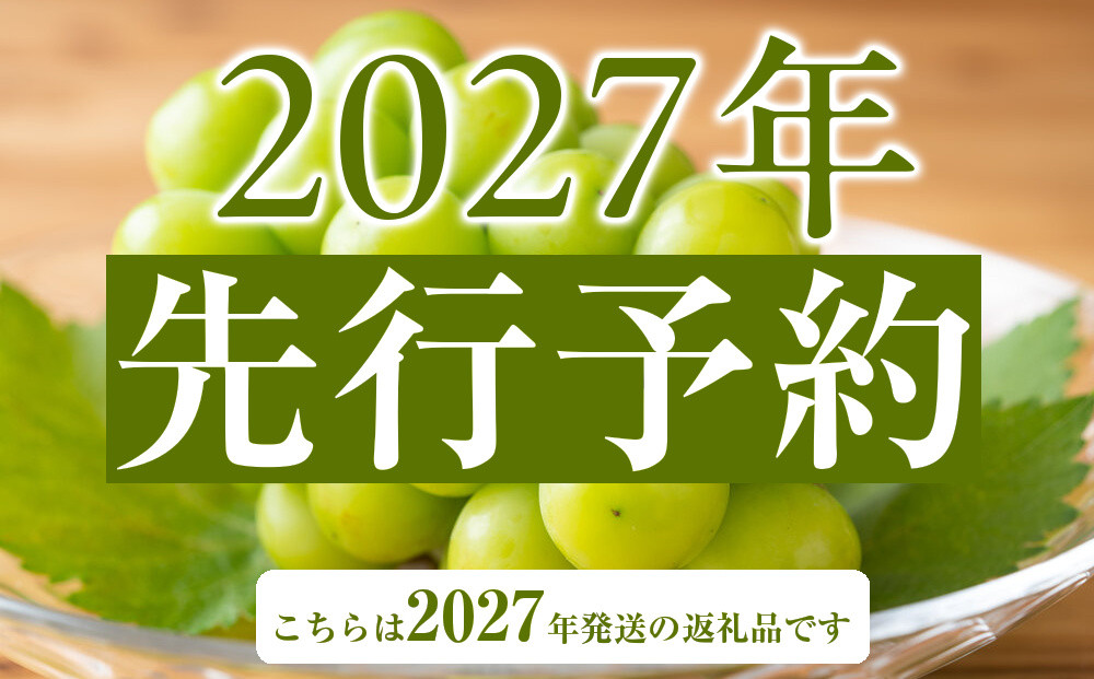 ぶどう 2026年 ゴールドフィンガー 1房 約400g ブドウ 葡萄 岡山市産 国産 フルーツ 果物 ギフト