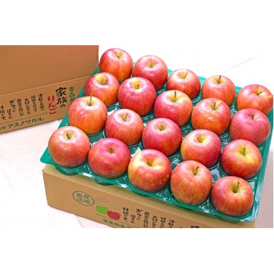 【26年11月から順次発送】青森県産 りんご シナノスイート 約5kg おもてなし用【配送不可地域：沖縄県】