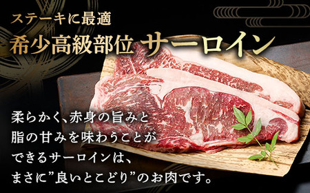 北海道 しほろ牛 サーロイン ステーキ 200g×4枚 計800g ロース ステーキ肉 牛 赤身肉 国産牛 肉 ビーフ 国産 牛肉 冷凍 詰合せ お取り寄せ 送料無料 十勝 士幌町【S01】
