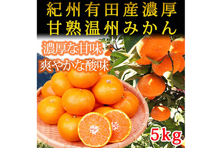 紀州有田産濃厚甘熟温州みかん5kg ｜みかん ミカン 蜜柑 フルーツ みかん ふるーつ みかん 果物 みかん くだもの みかん 和歌山 みかん※2025年11月下旬〜2026年1月下旬頃に順次発送予定