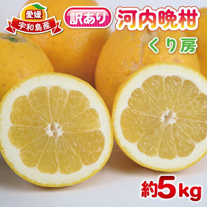 【ふるさと納税】 訳あり 河内晩柑 約 5kg くり房 晩柑 和製 グレープフルーツ 訳アリ 訳あり品 愛媛みかん 愛媛蜜柑 愛媛県産みかん 蜜柑 みかん mikan 爽やか さっぱり フレッシュ 果物 くだもの フルーツ 柑橘 数量限定 産地直送 国産 愛媛 宇和島 B010-204010