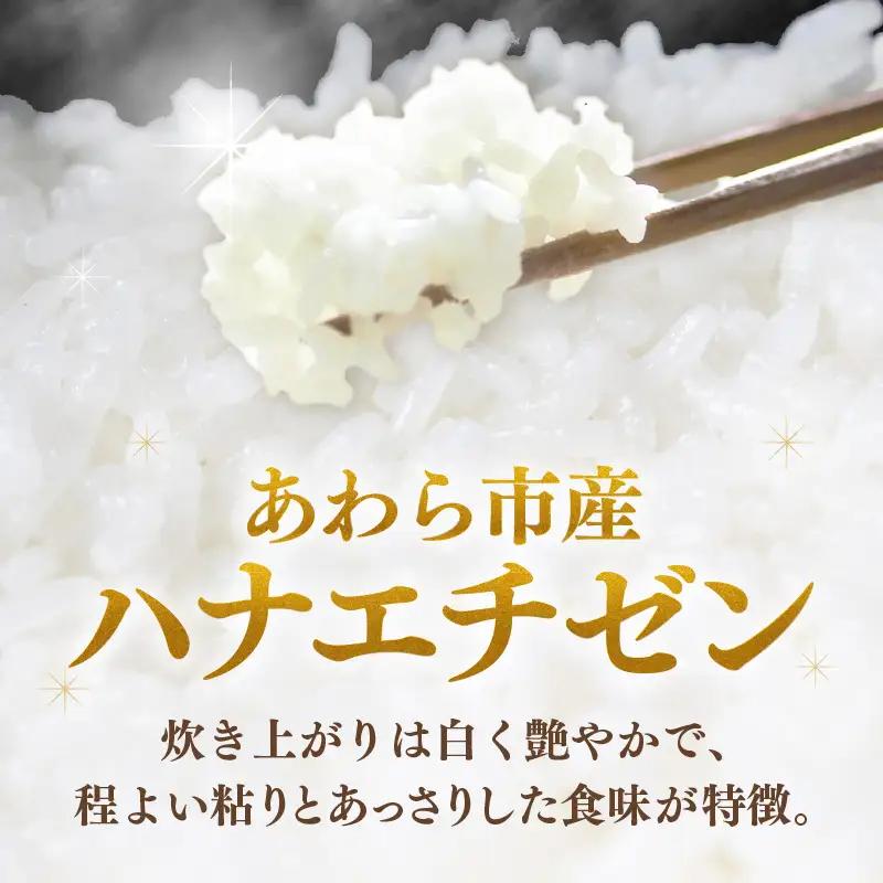 【先行予約】【令和8年産】ハナエチゼン 精米 5kg （長谷川農園） お米 ※2026年10月より順次発送予定 [aw139-a003]