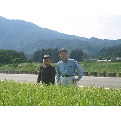 ふるさと納税 加茂市 【新潟県加茂市七谷産】コシヒカリ5kg×2袋(高柳産・生産者指定) |  | 02