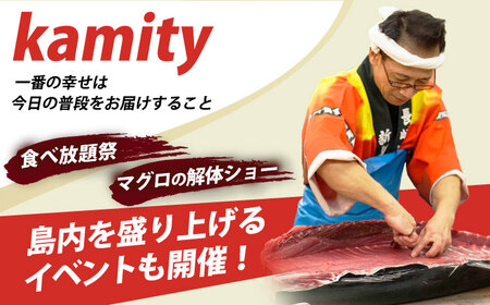 【全12回定期便】五島列島産養殖生本かみまぐろ 中トロ 500g[RBP066] 本マグロ 本まぐろ 定期便 本マグロ 本まぐろ 定期便 本マグロ 本まぐろ 定期便九州 長崎